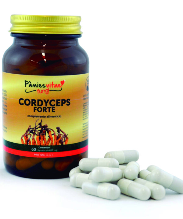 Cordyceps Forte PV (60 cápsulas)