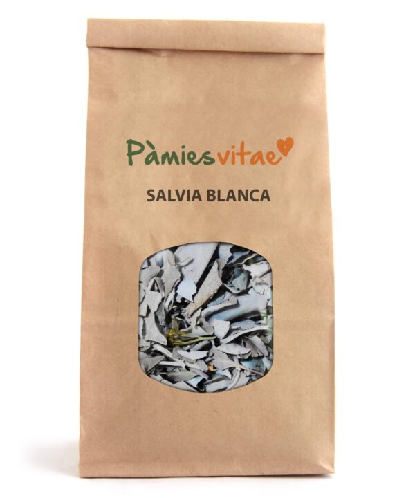 SALVIA BLANCA - Salvia apiana