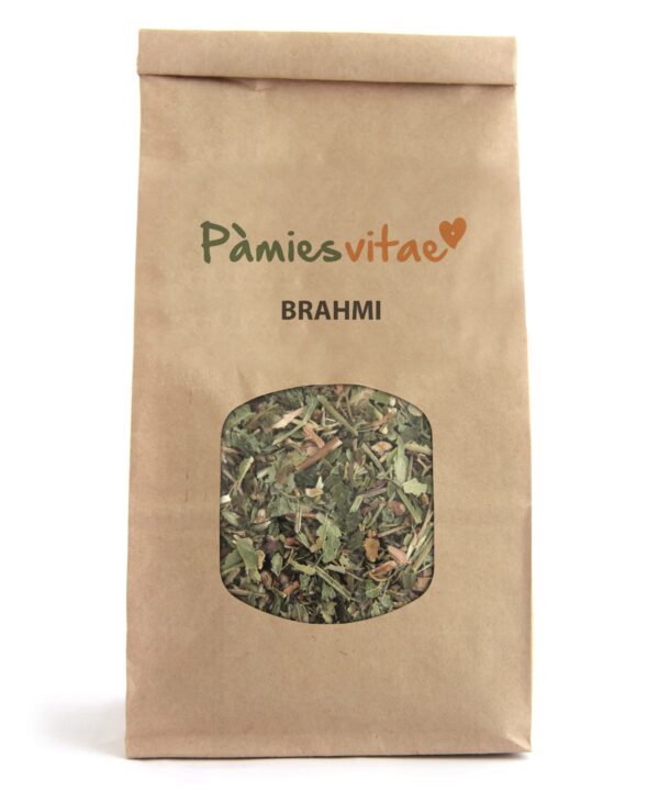 BRAHMI - Bacopa monnieri