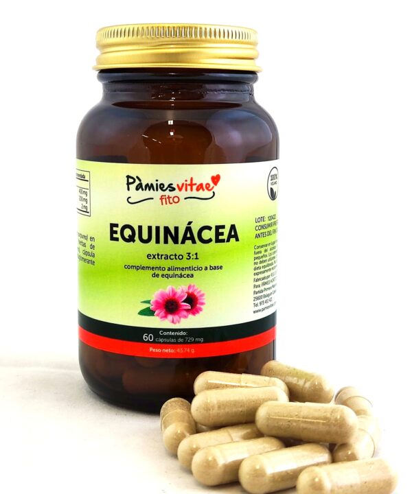 Equinácea PV (60 cápsulas)