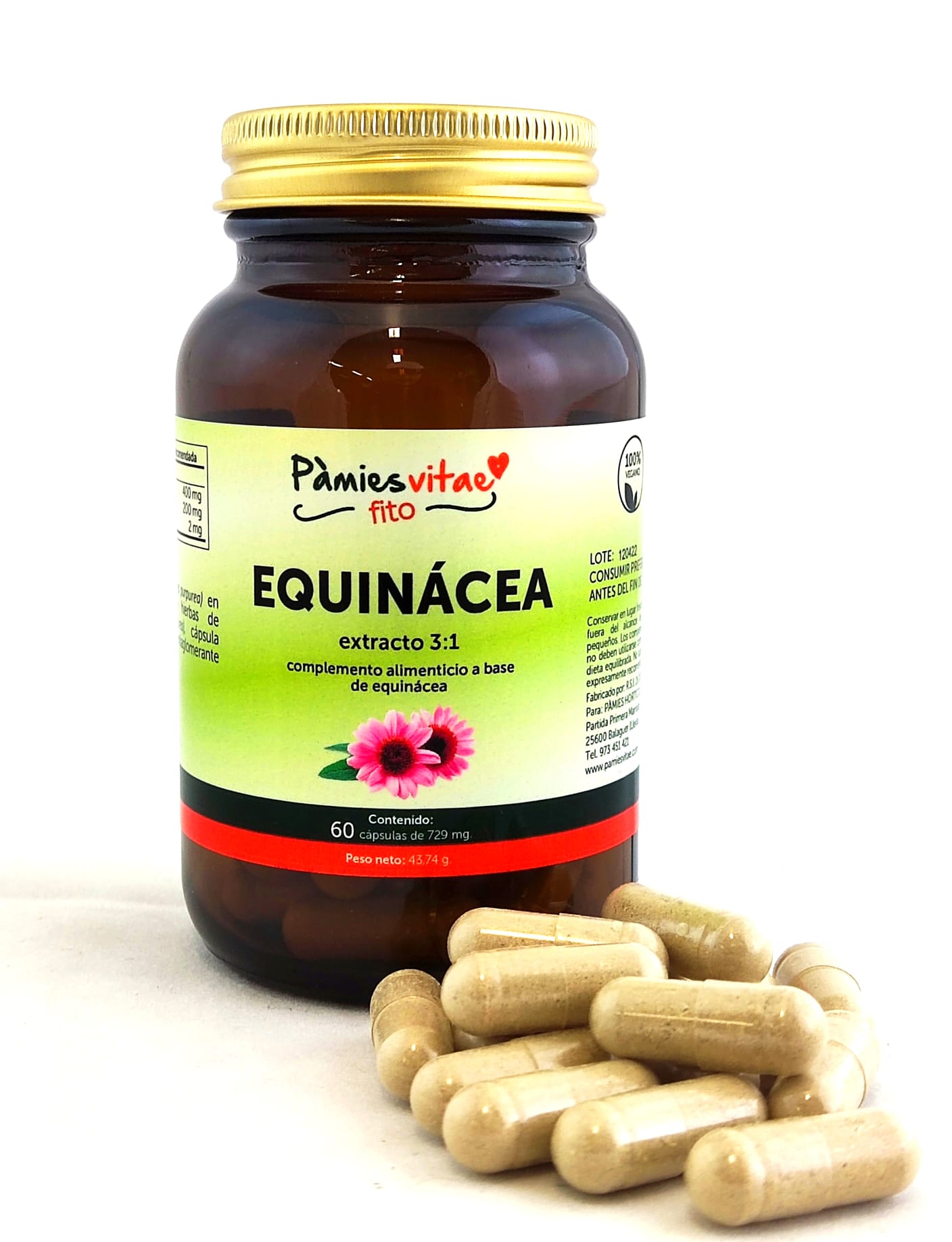 Equinácea PV (60 cápsulas)