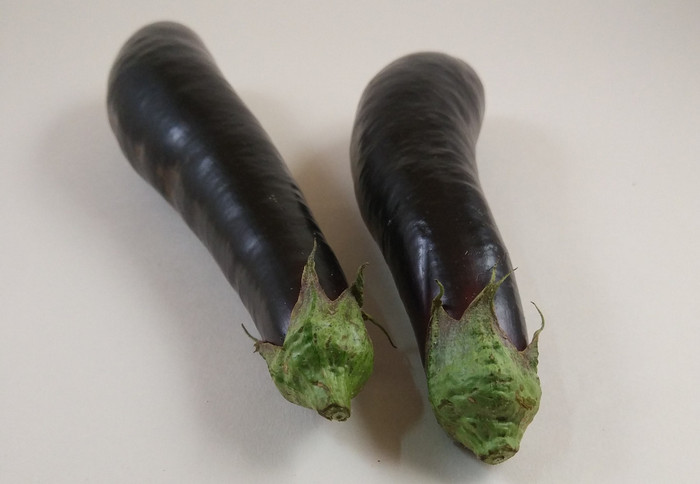 Berenjena larga negra de Vilanova de Bellpuig