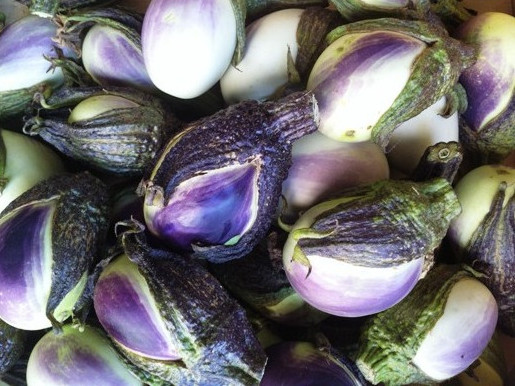Berenjena violeta rustica