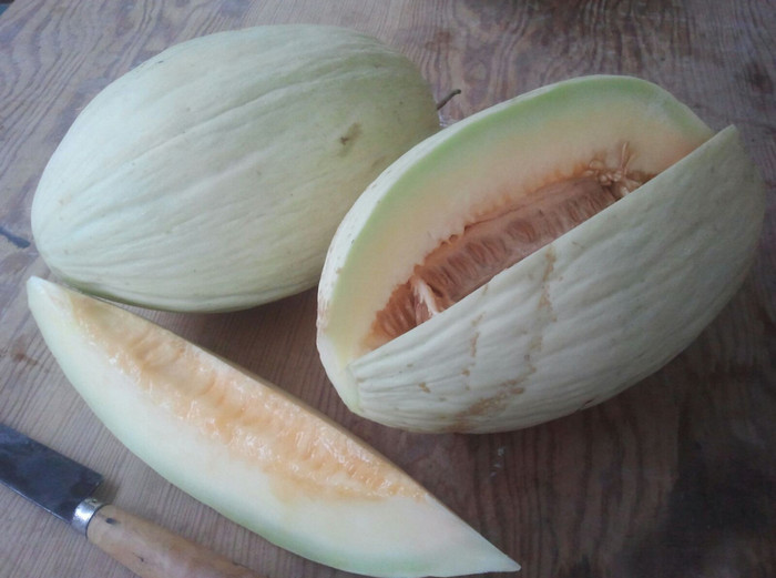Melón blanco
