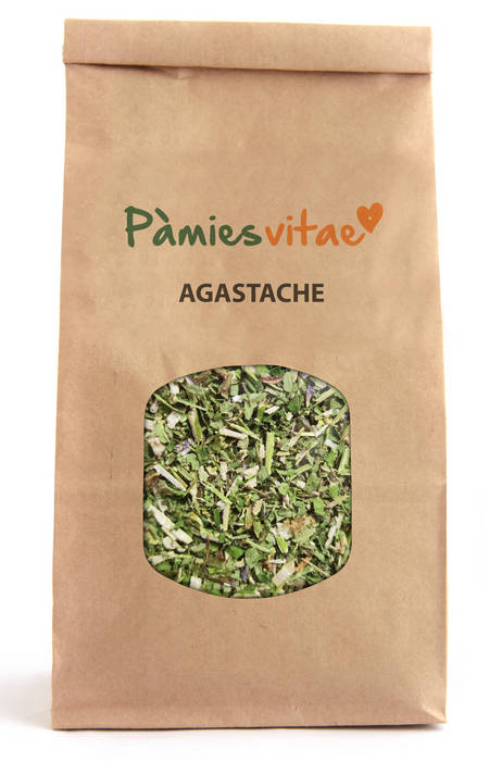 AGASTACHE - Agastache foeniculum
