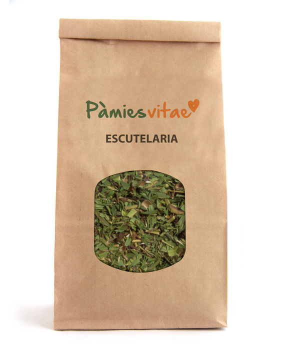 ESCUTELARIA - Scutellaria baicalensis