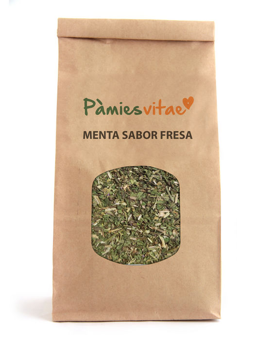 MENTA SABOR FRESA - Mentha sp