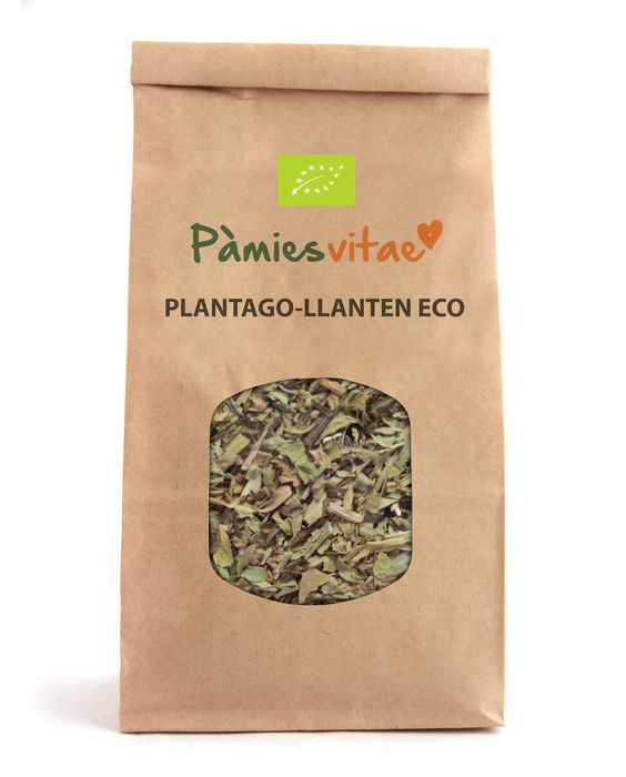PLANTAGO/LLANTEN ECO - Plantago major