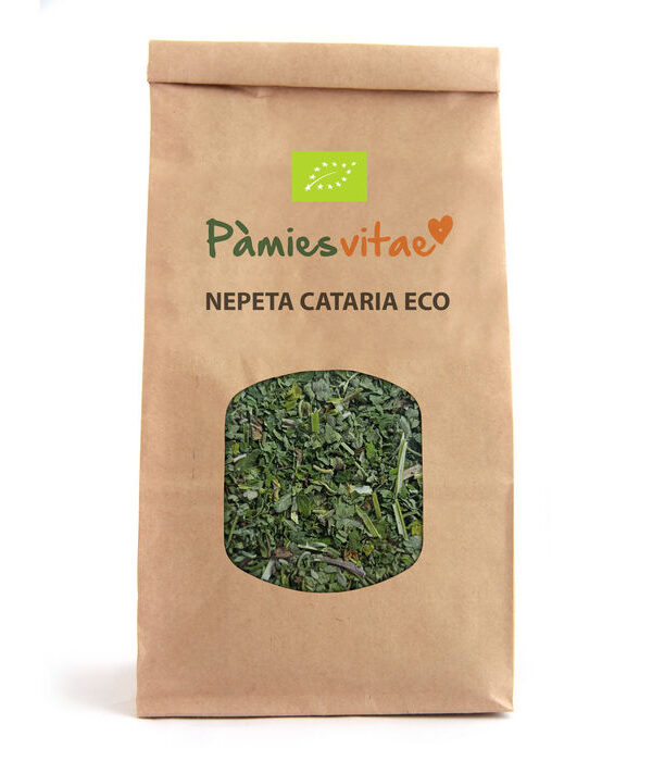 NEPETA CATARIA HIERBA GATERA ECO - Nepeta cataria