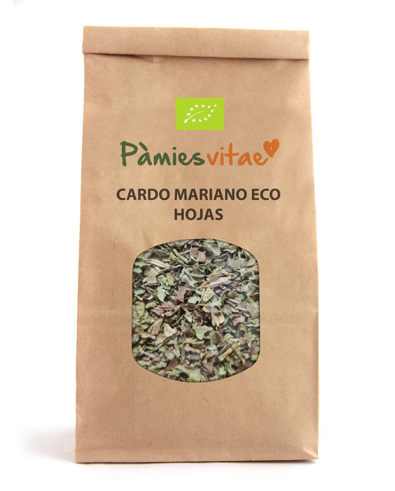 CARDO MARIANO - HOJAS ECO - Silybum marianum