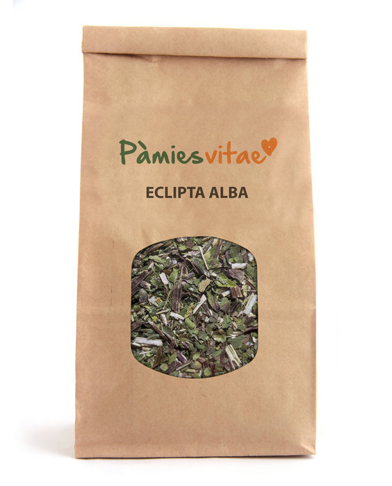 ECLIPTA ALBA - Eclipta alba