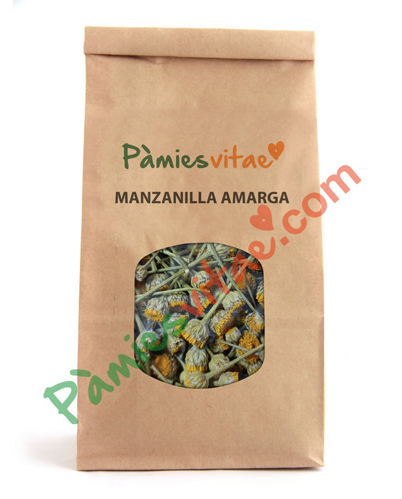 MANZANILLA AMARGA - Santolina chamaecyparissus