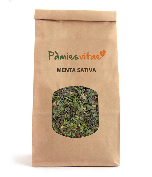 MENTA SATIVA - Mentha sativa