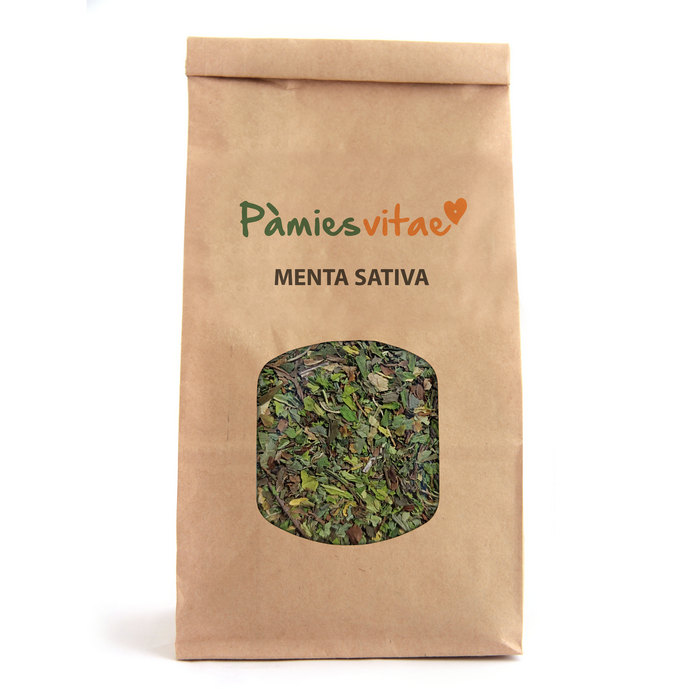 MENTA SATIVA - Mentha sativa