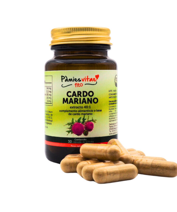Cardo Mariano PV (30 cápsulas)
