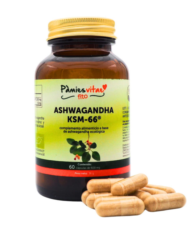 Ashwagandha KSM-66 PV (60 cápsulas)