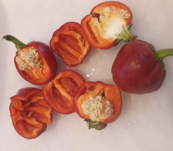 Pimiento de nyora