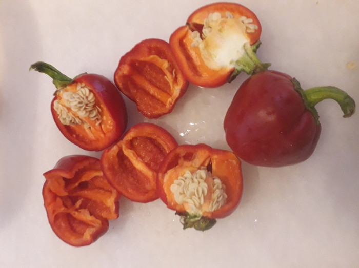 Pimiento de nyora