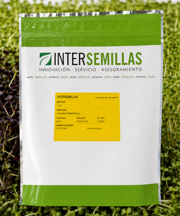 Germinado de Col Rizada ECO, 500 g (INTERSEMILLAS)