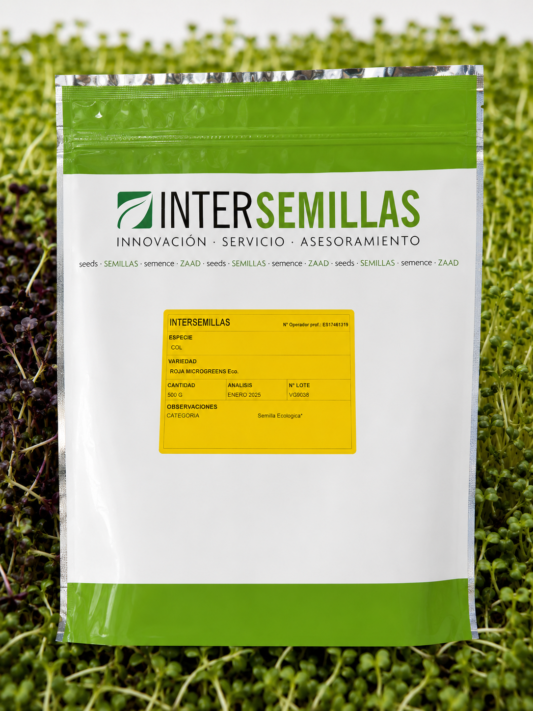 Germinado de Col Rizada ECO, 500 g (INTERSEMILLAS)