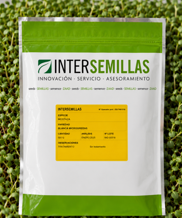 Germinado de Moztaza Blanca, 500 g (INTERSEMILLAS)