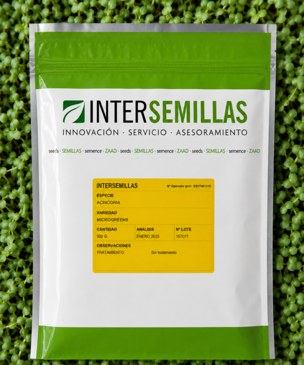 Germinado de Achicoria, 500 g (INTERSEMILLAS)