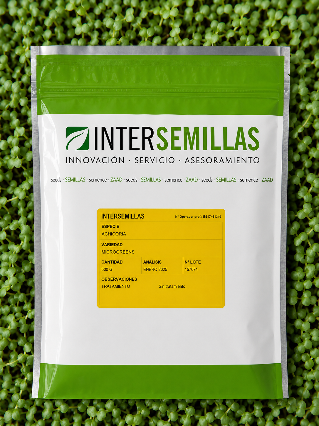 Germinado de Achicoria, 500 g (INTERSEMILLAS)