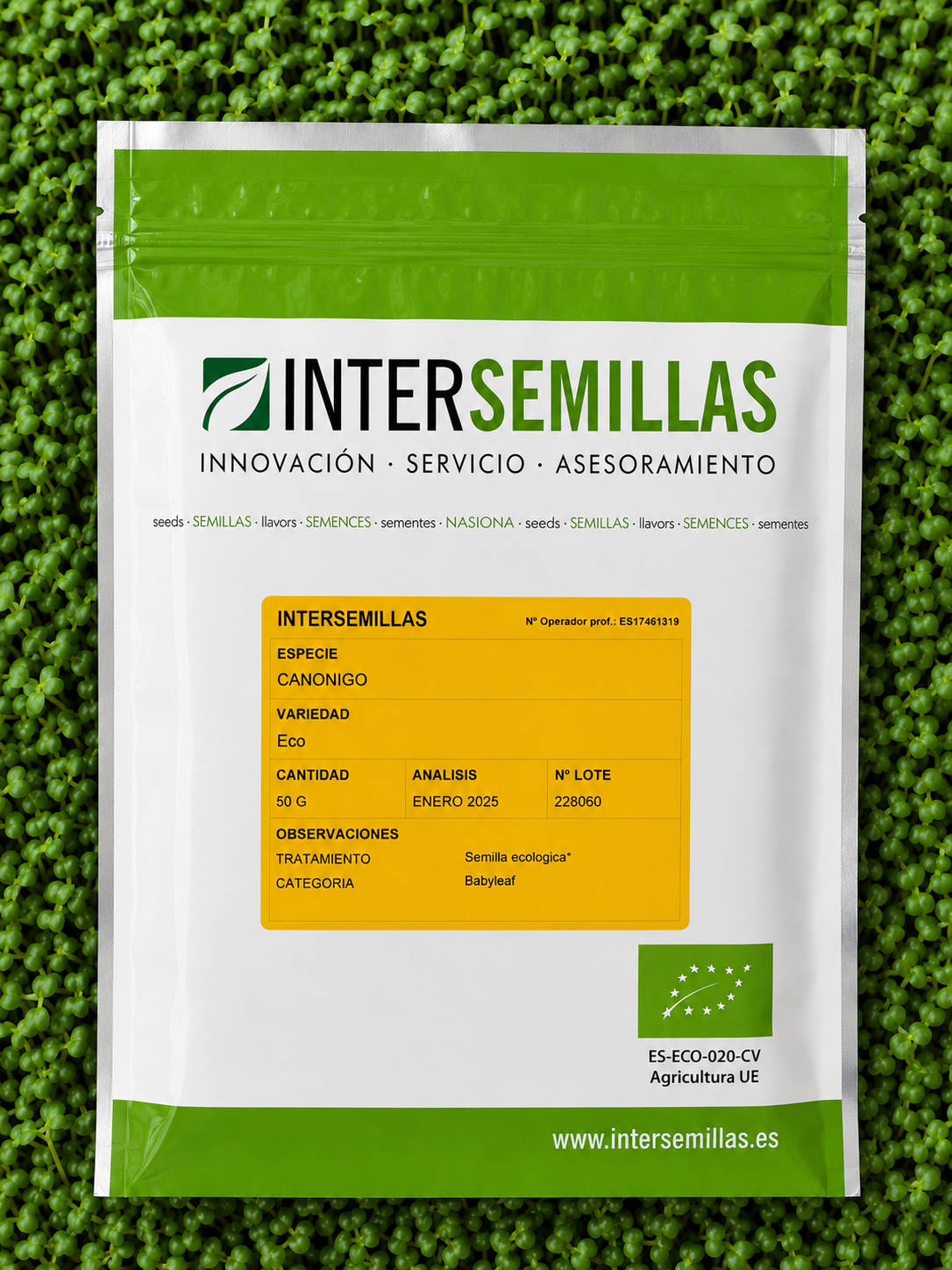 Germinado de Canónigo, 50 g (INTERSEMILLAS)
