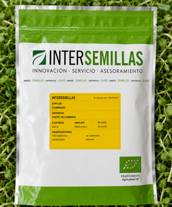 Germinado de Canónigo Cambrai, 500 g (INTERSEMILLAS)