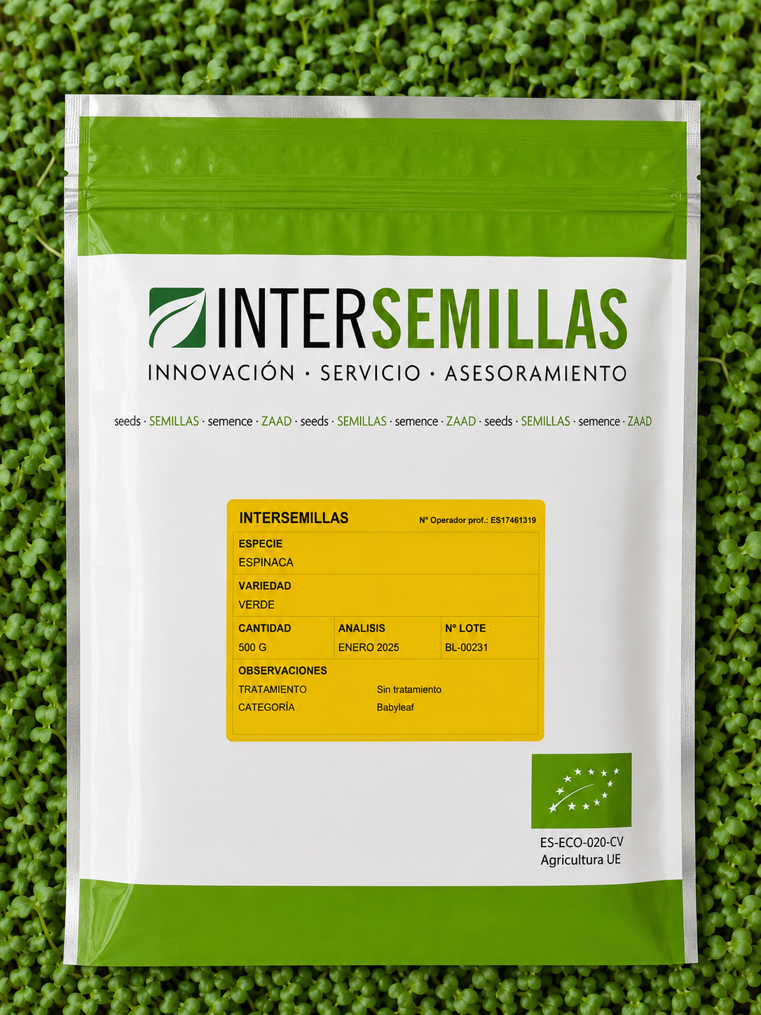Germinado de Espinaca Verde, 500 g (INTERSEMILLAS)