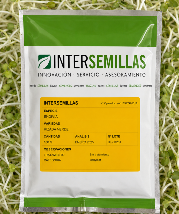 Germinado de Envidia Rizada Verde, 100 g (INTERSEMILLAS)