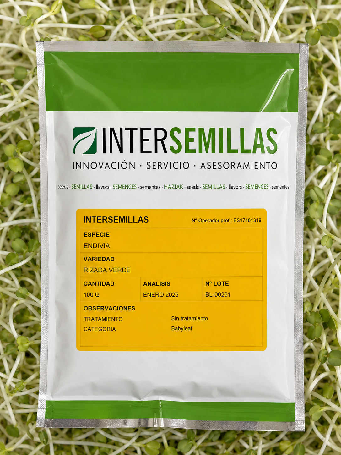Germinado de Envidia Rizada Verde, 100 g (INTERSEMILLAS)