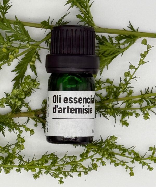 Oli essencial de Artemísia – 5 ml