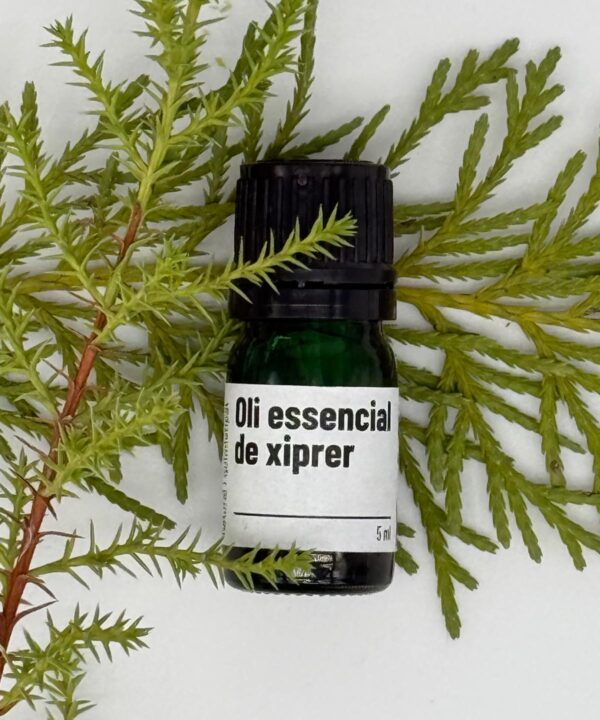 Oli essencial de Xiprer – 5 ml