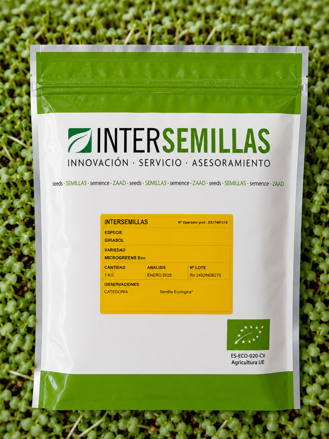 Germinado de Girasol, 1 Kg (INTERSEMILLAS)