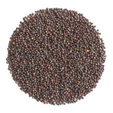 Germinado de Achicoria, 500 g