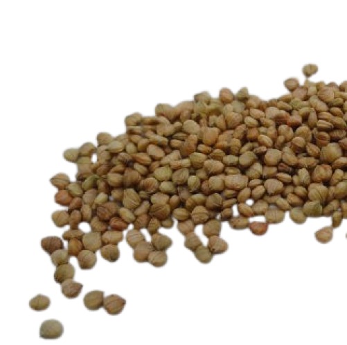 Germinado de Canónigo, 50 g