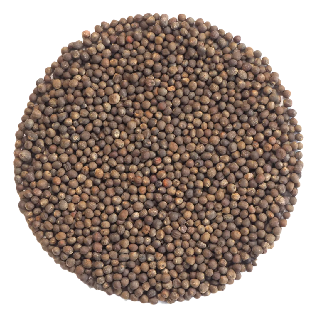 Germinado de Col Rizada ECO, 500 g