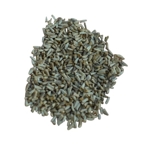 Germinado de Envidia Rizada Verde, 100 g