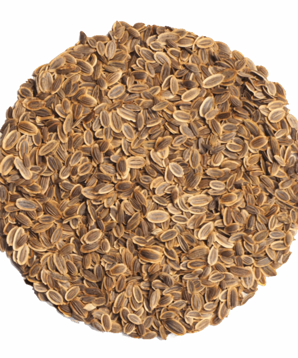 Germinado de Eneldo, 500 g