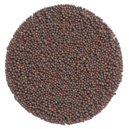 Germinado de Garbanzo, 1 Kg