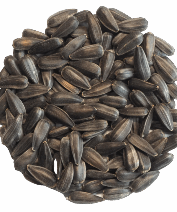 Germinado de Girasol, 500 g