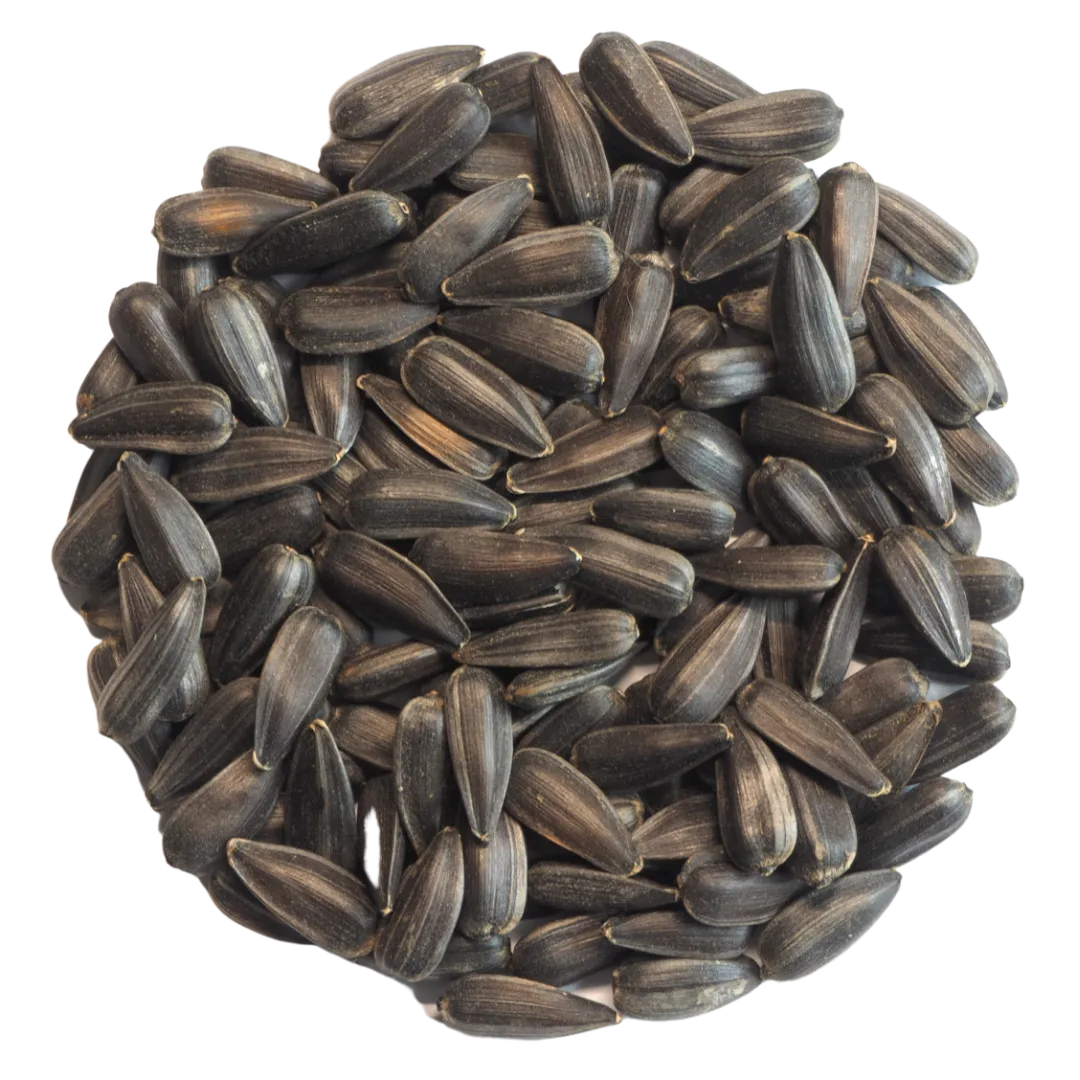 Germinado de Girasol, 1 Kg