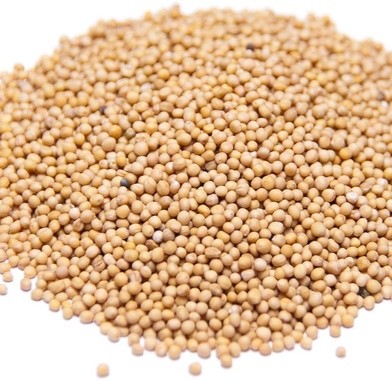 Germinado de Moztaza Blanca, 500 g