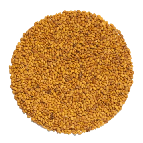 Germinado de Moztaza Roja ECO, 500 g