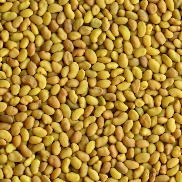 Germinado de Alfalfa, 1 kg