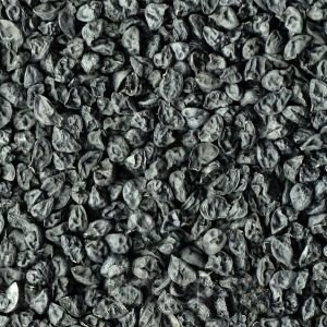 Germinado de Puerro, 1 kg