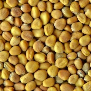 Germinado de Rabanito, 1 kg