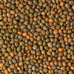 Germinado de Rúcula, 1 kg