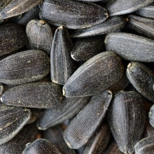 Germinado de Girasol, 1 kg